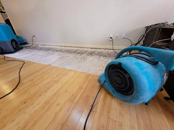 Professional Water Removal technician working in Springvale, ME